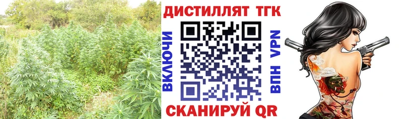 купить закладку  Конаково  Дистиллят ТГК концентрат 
